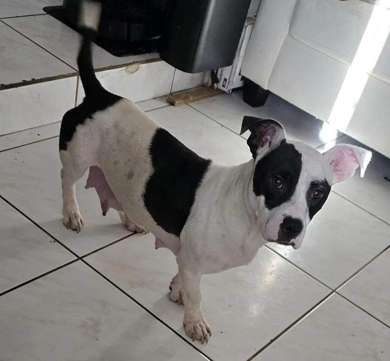 Precious thumbnail 2