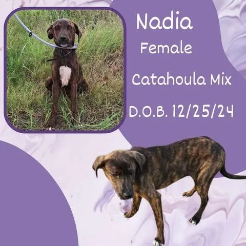Nadia thumbnail 2