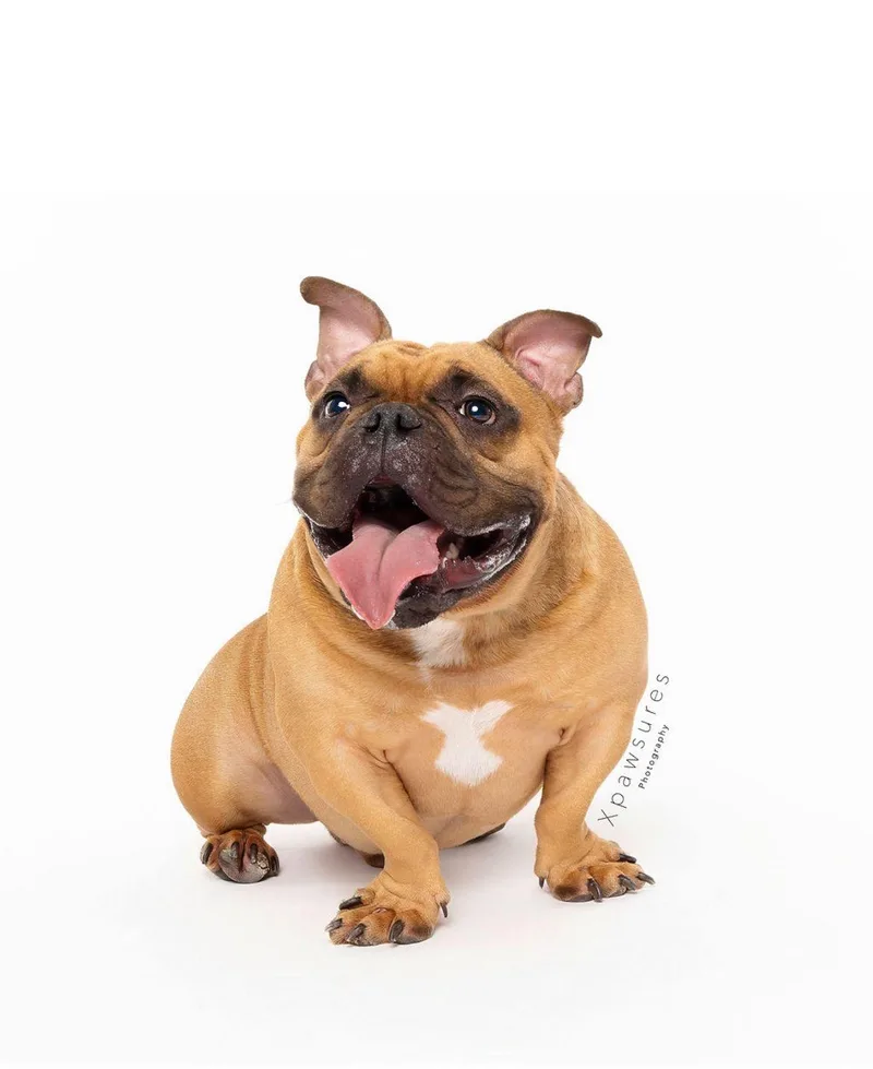 Franklin thumbnail 5