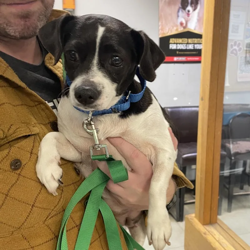 Wednesday thumbnail 2