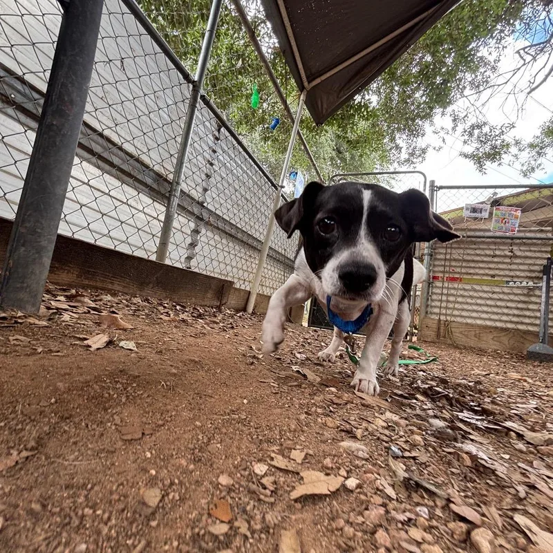 Wednesday thumbnail 3