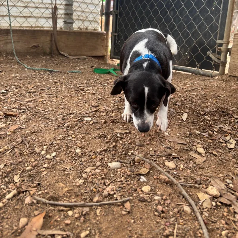 Wednesday thumbnail 4