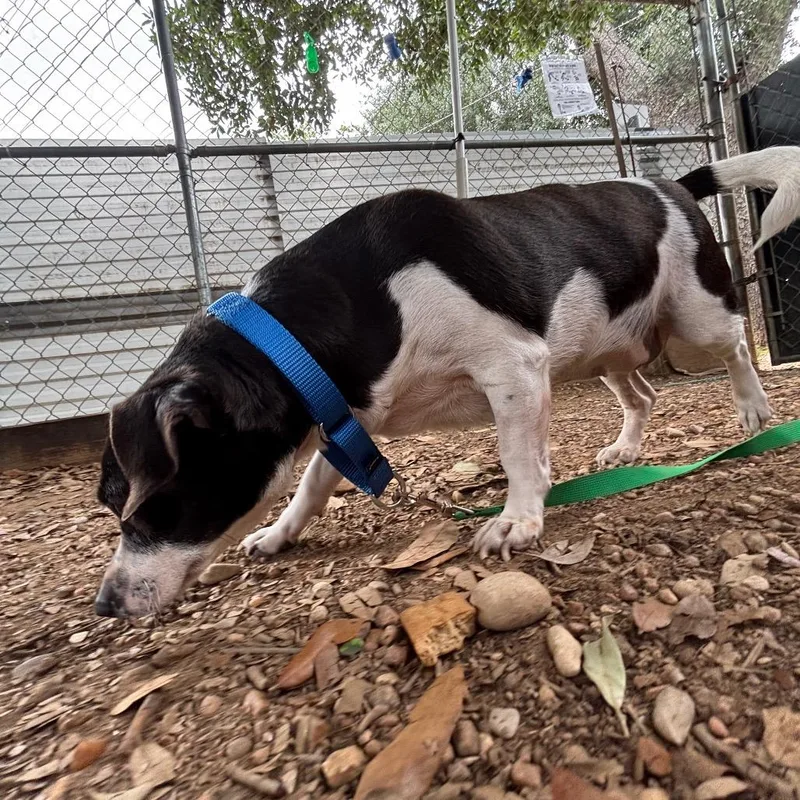 Wednesday thumbnail 5