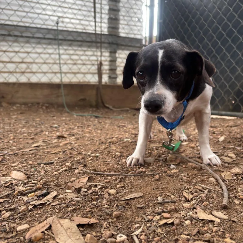 Wednesday thumbnail 6