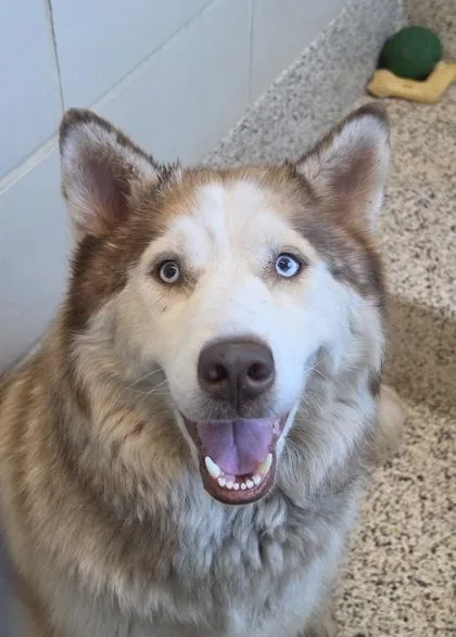 Luna