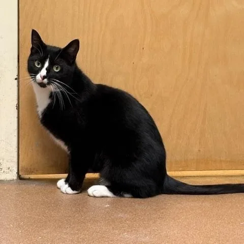 Tabitha King thumbnail 3