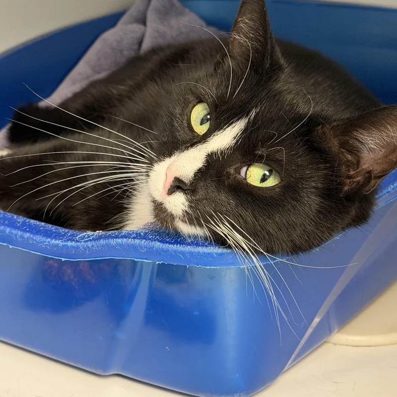 Tabitha King thumbnail 4