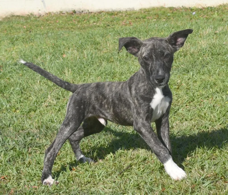 Touchdown thumbnail 2