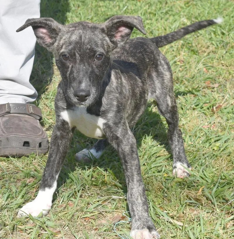 Touchdown thumbnail 3