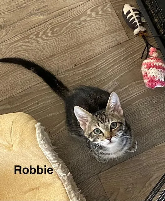 Robbie thumbnail 3