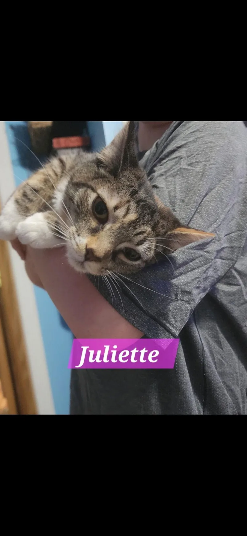 Juliette thumbnail 2