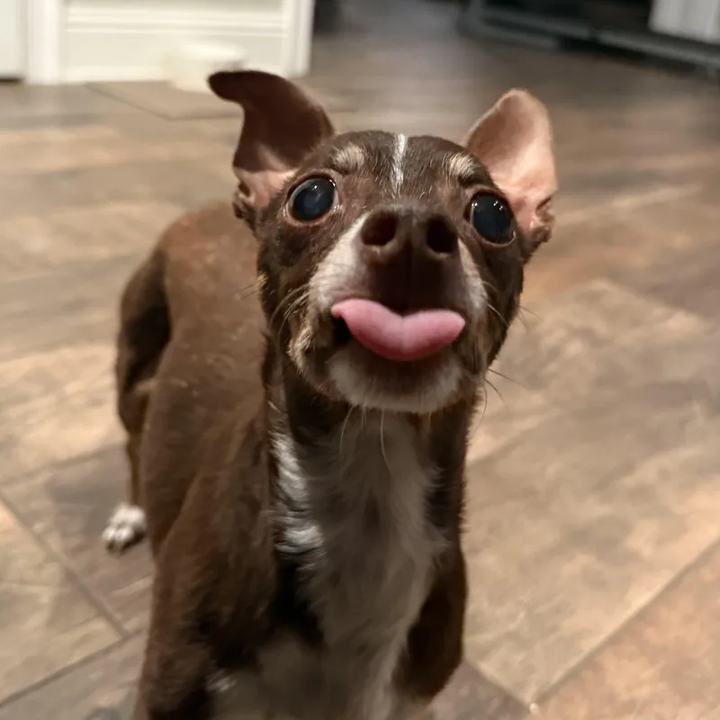 Ella Bella thumbnail 2