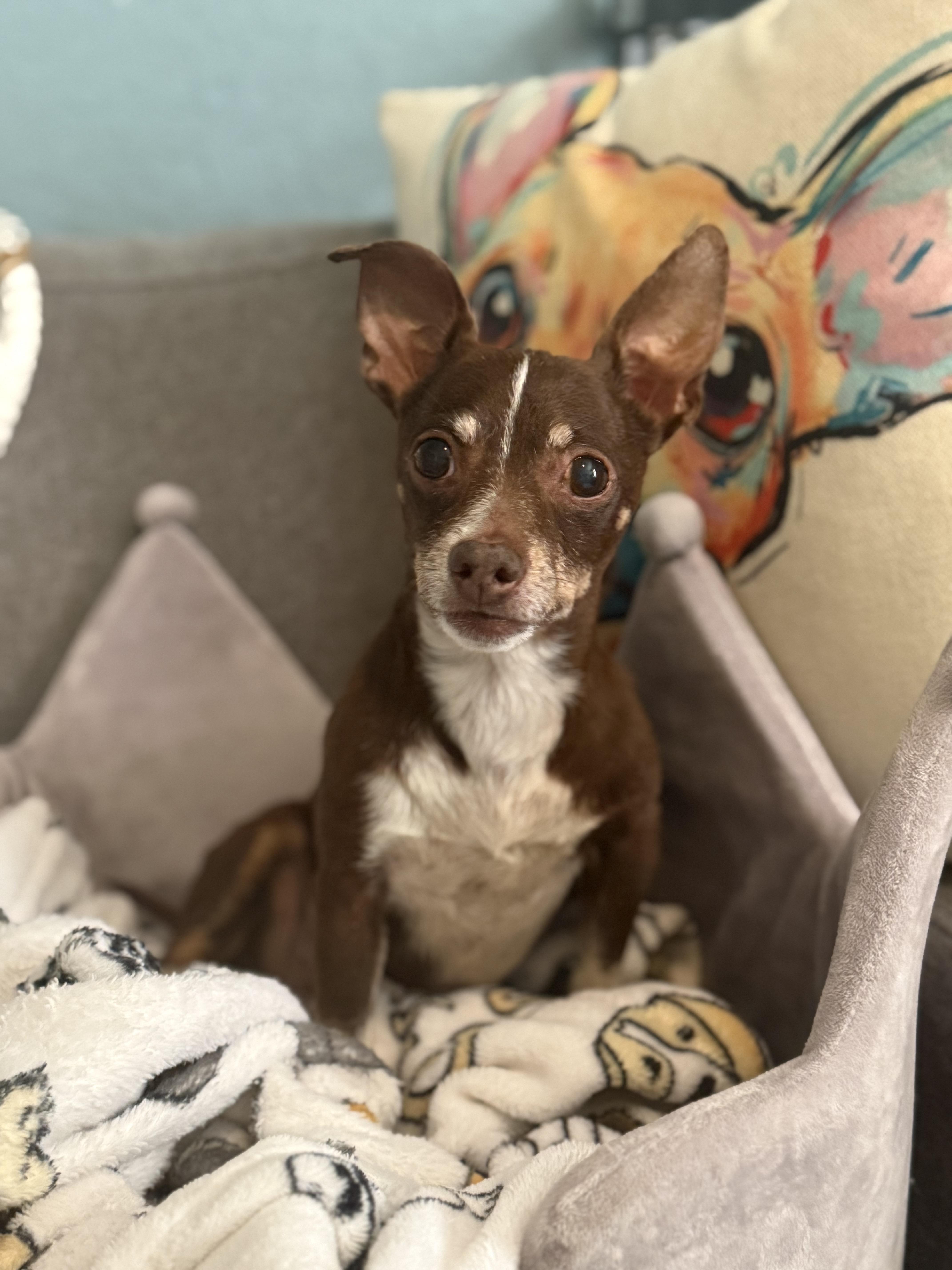 Ella Bella thumbnail 3