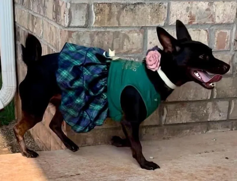 Izzy thumbnail 3