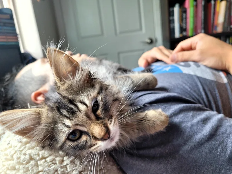 Frugit Fuzzbutt thumbnail 5