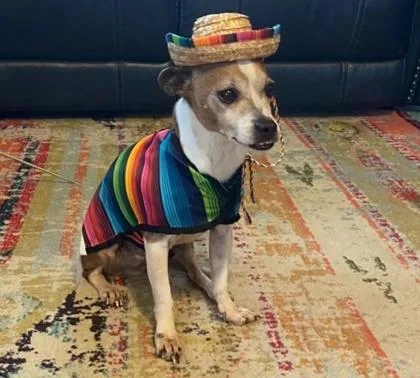 Sanchez