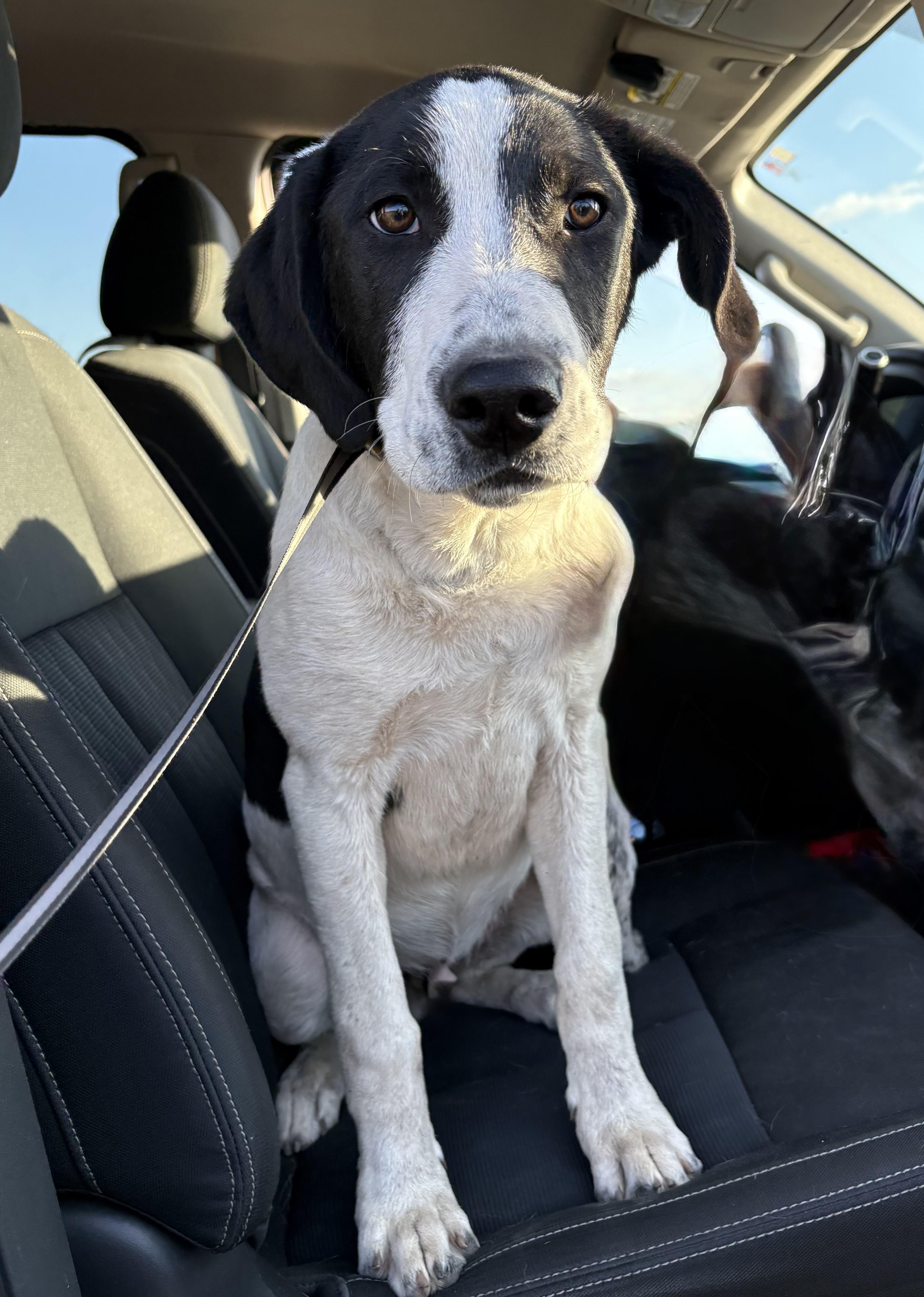 Peter Pan thumbnail 2