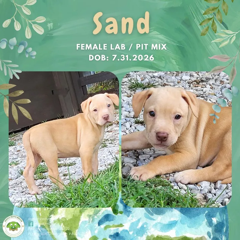 Sand thumbnail 5