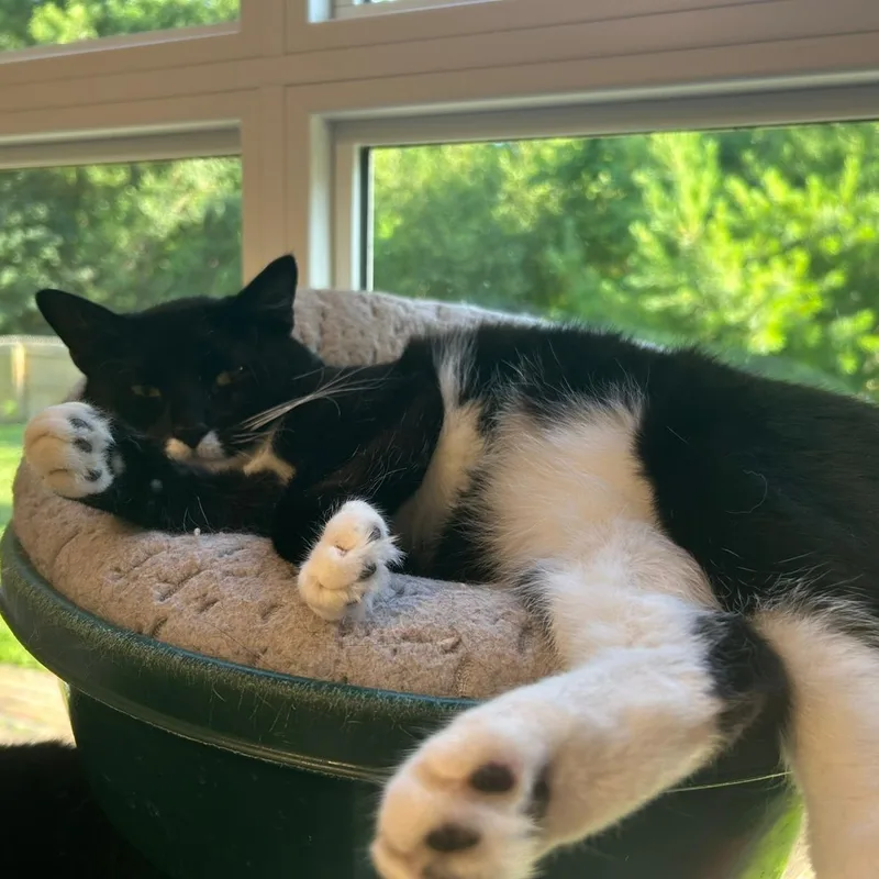 Tina Purrner thumbnail 2