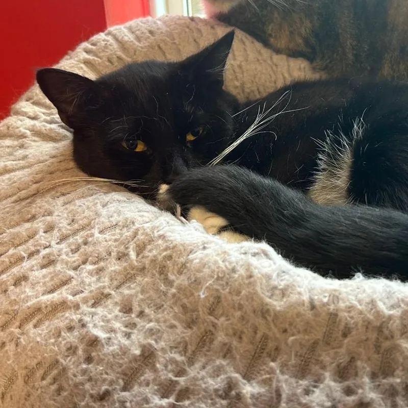 Tina Purrner thumbnail 3