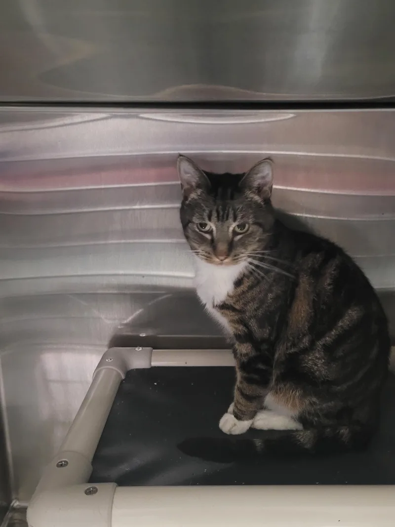 Yosemite thumbnail 2