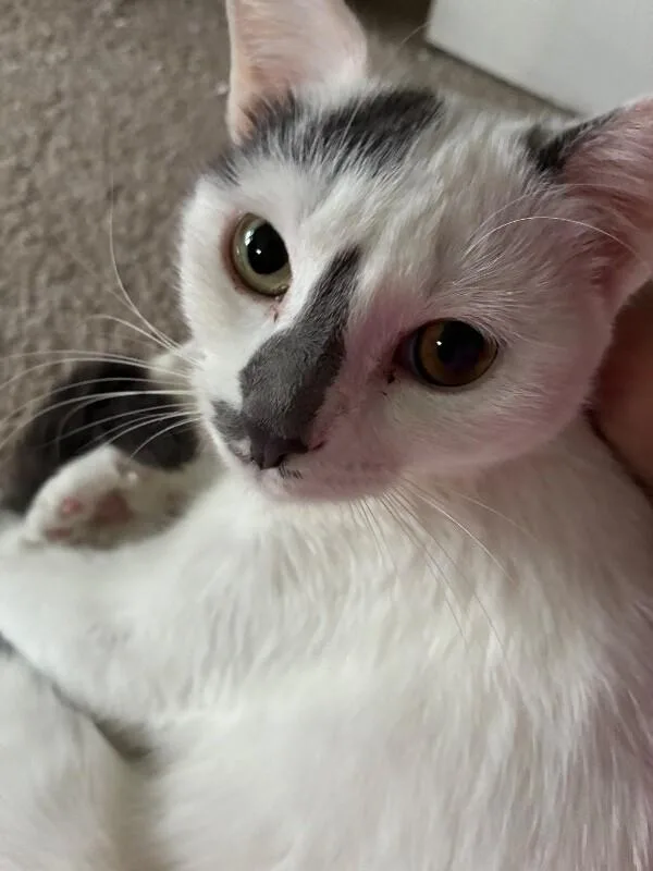 Sally