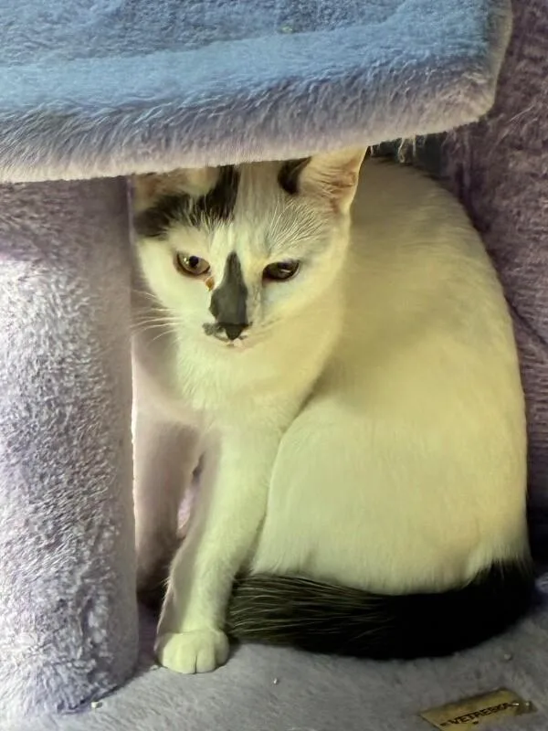 Sally thumbnail 4