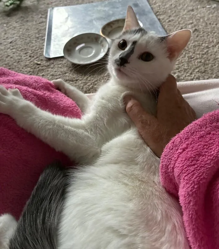 Sally thumbnail 5