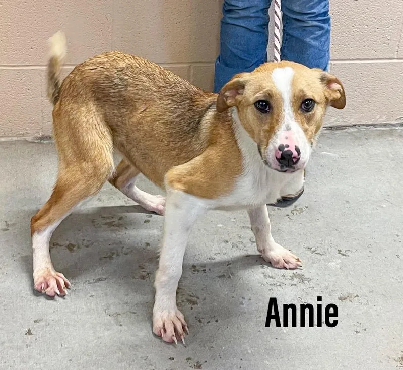Annie