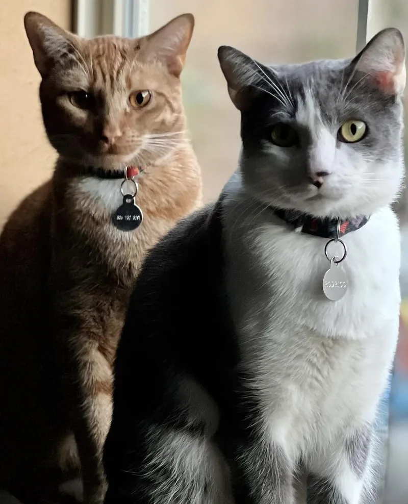 Rodrigo and Emanuel thumbnail 3