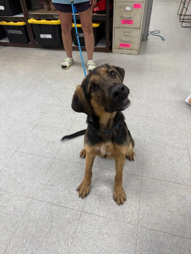 Carrigan thumbnail 2