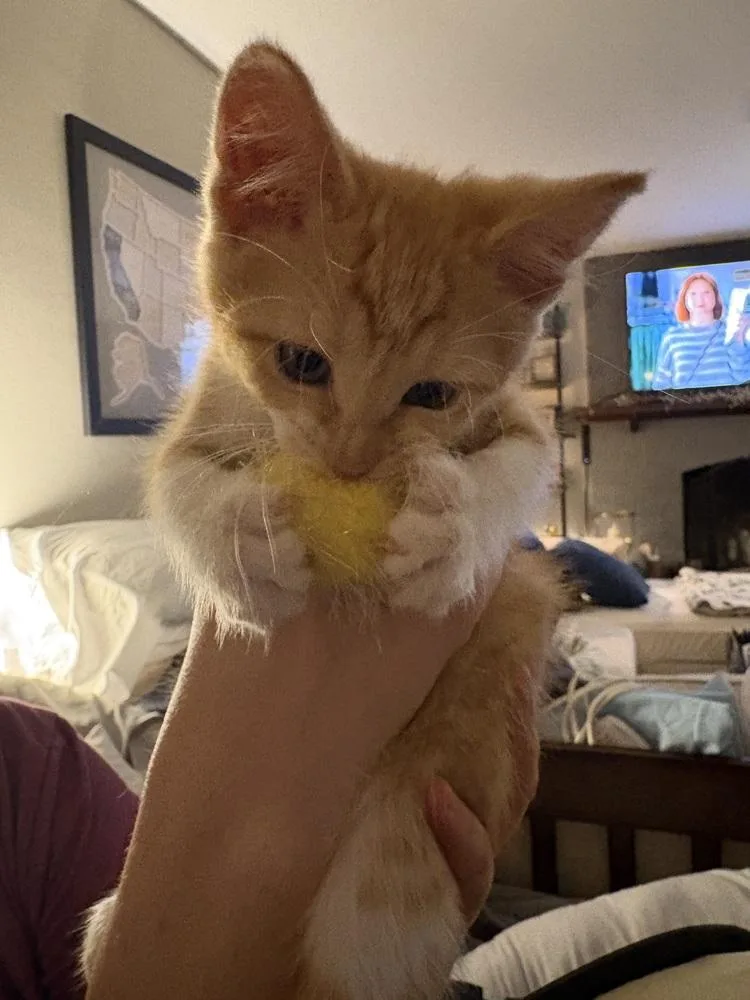 Butter thumbnail 6