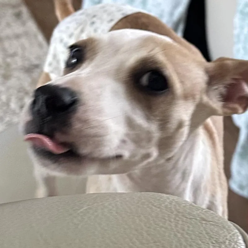 Butters thumbnail 5