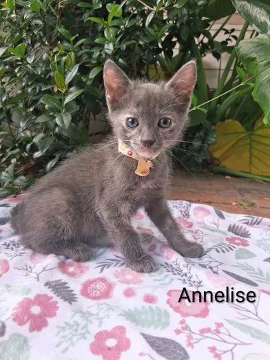 Annelise thumbnail 4