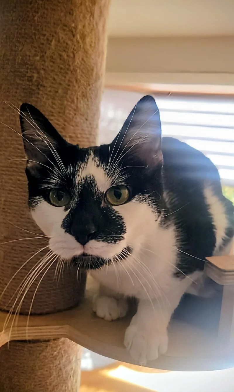 Jelly Belly And Dubble thumbnail 3