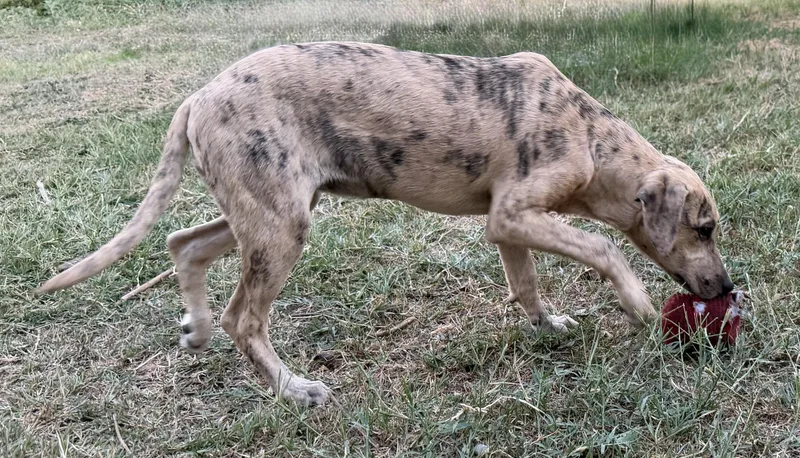 Cinnabon thumbnail 3