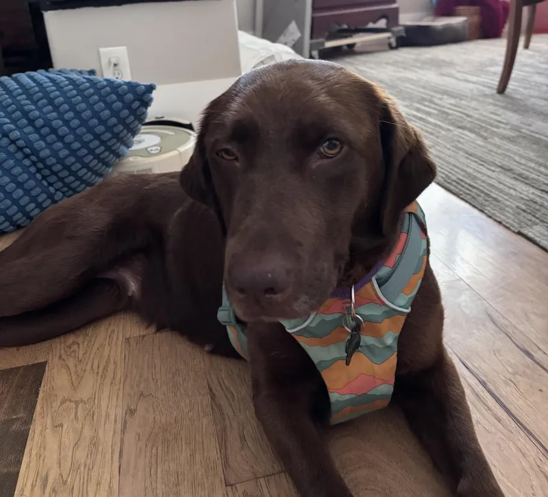 Winnie