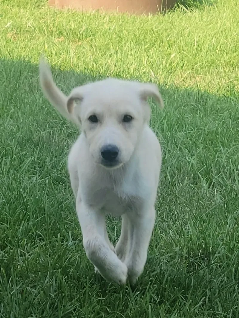 Ella Mae thumbnail 2