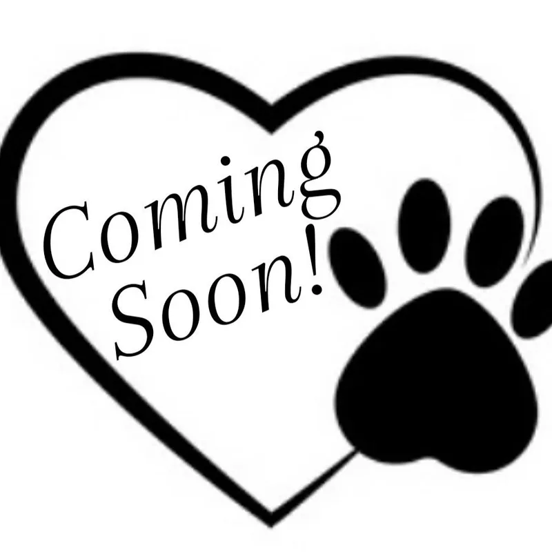 Rosco thumbnail 3