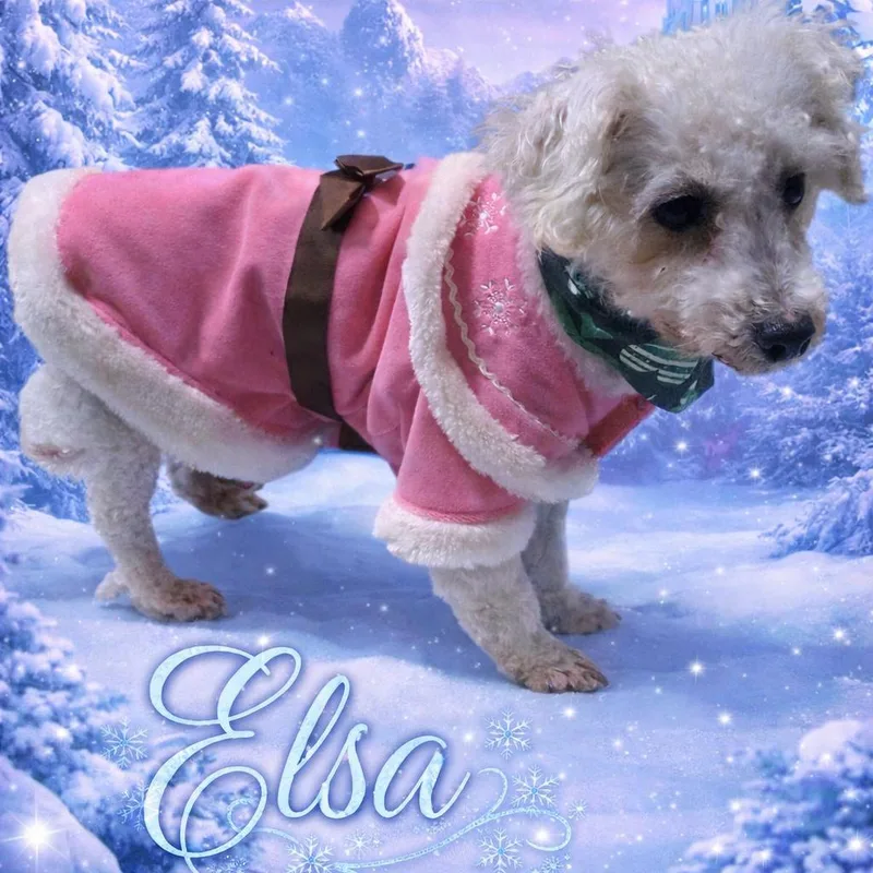 Elsa thumbnail 2