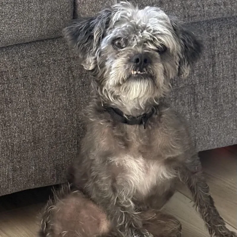 Oscar