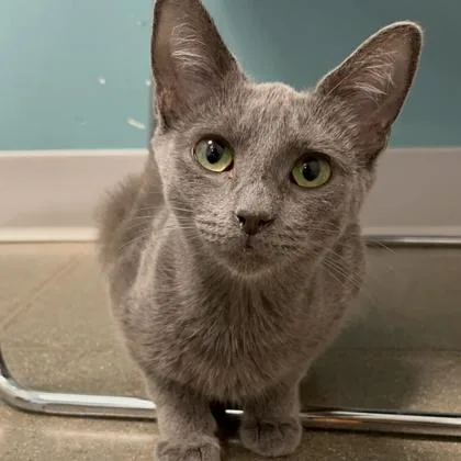 Skeptical thumbnail 3