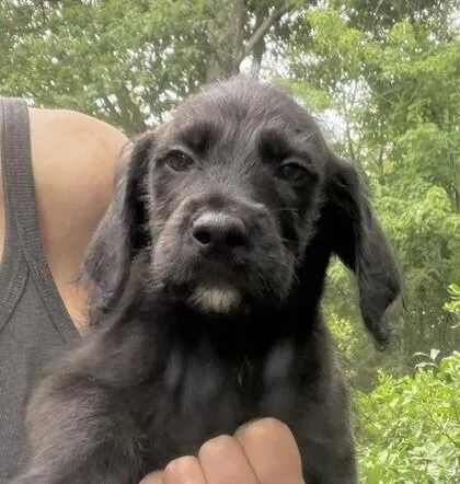 Baby Sol