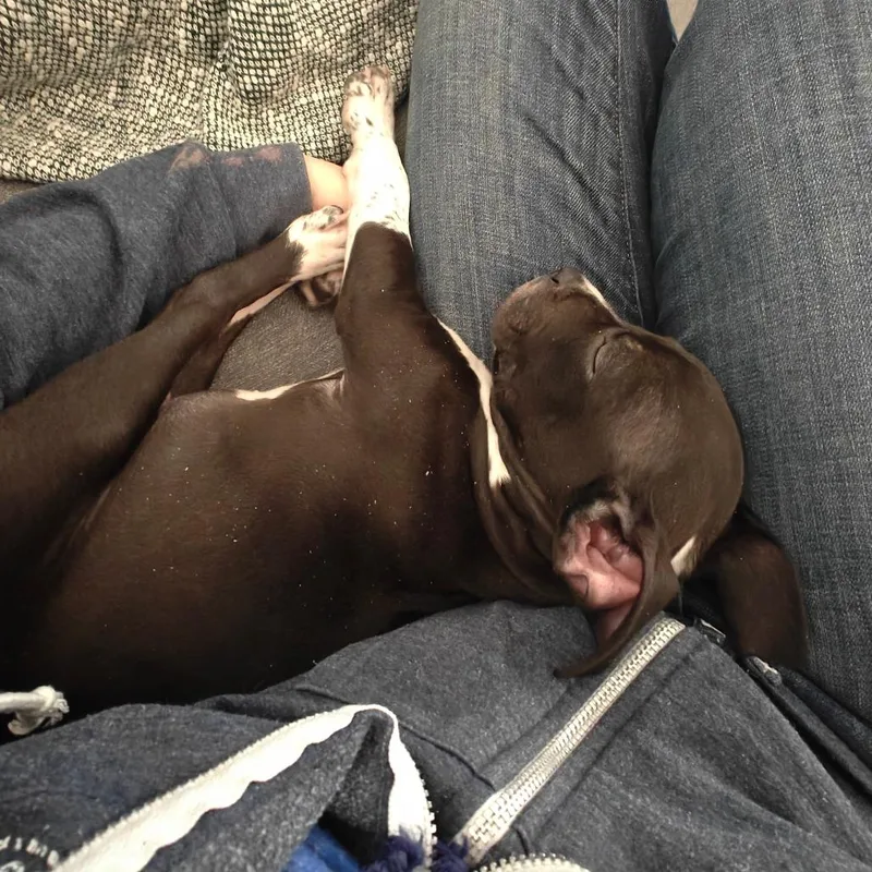 Powersurger thumbnail 2