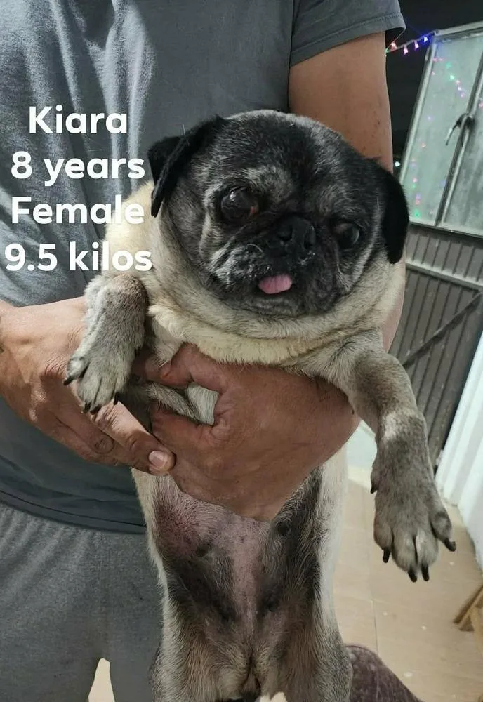 Kiara