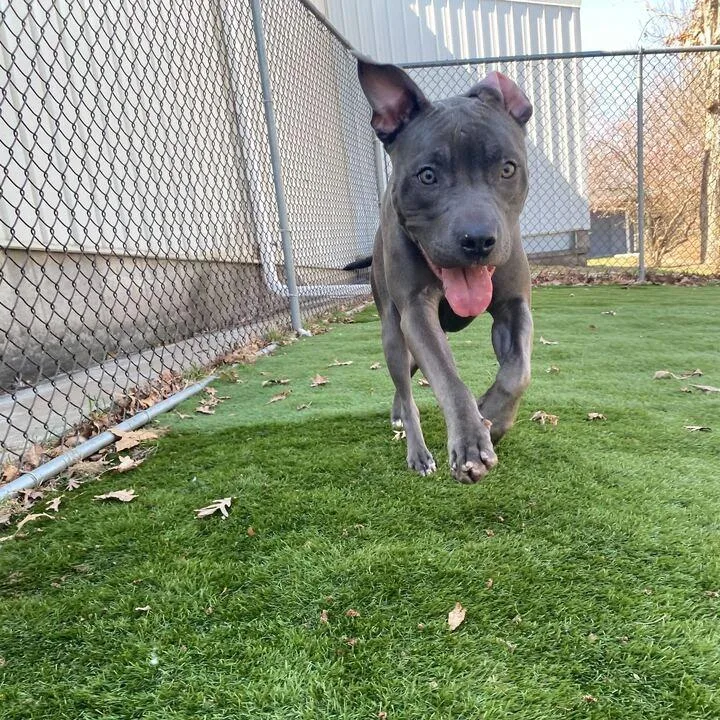 Lava Lamps! thumbnail 2