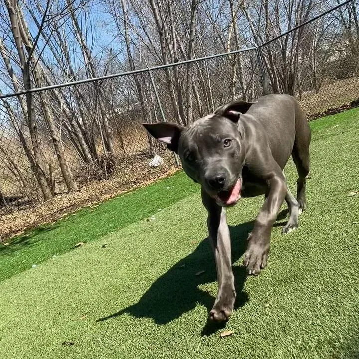 Lava Lamps! thumbnail 3