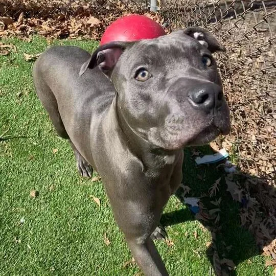 Lava Lamps! thumbnail 4