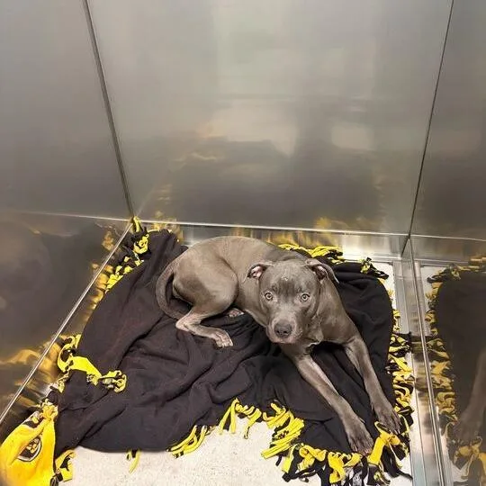 Lava Lamps! thumbnail 5