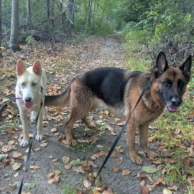 Fairbanks thumbnail 5